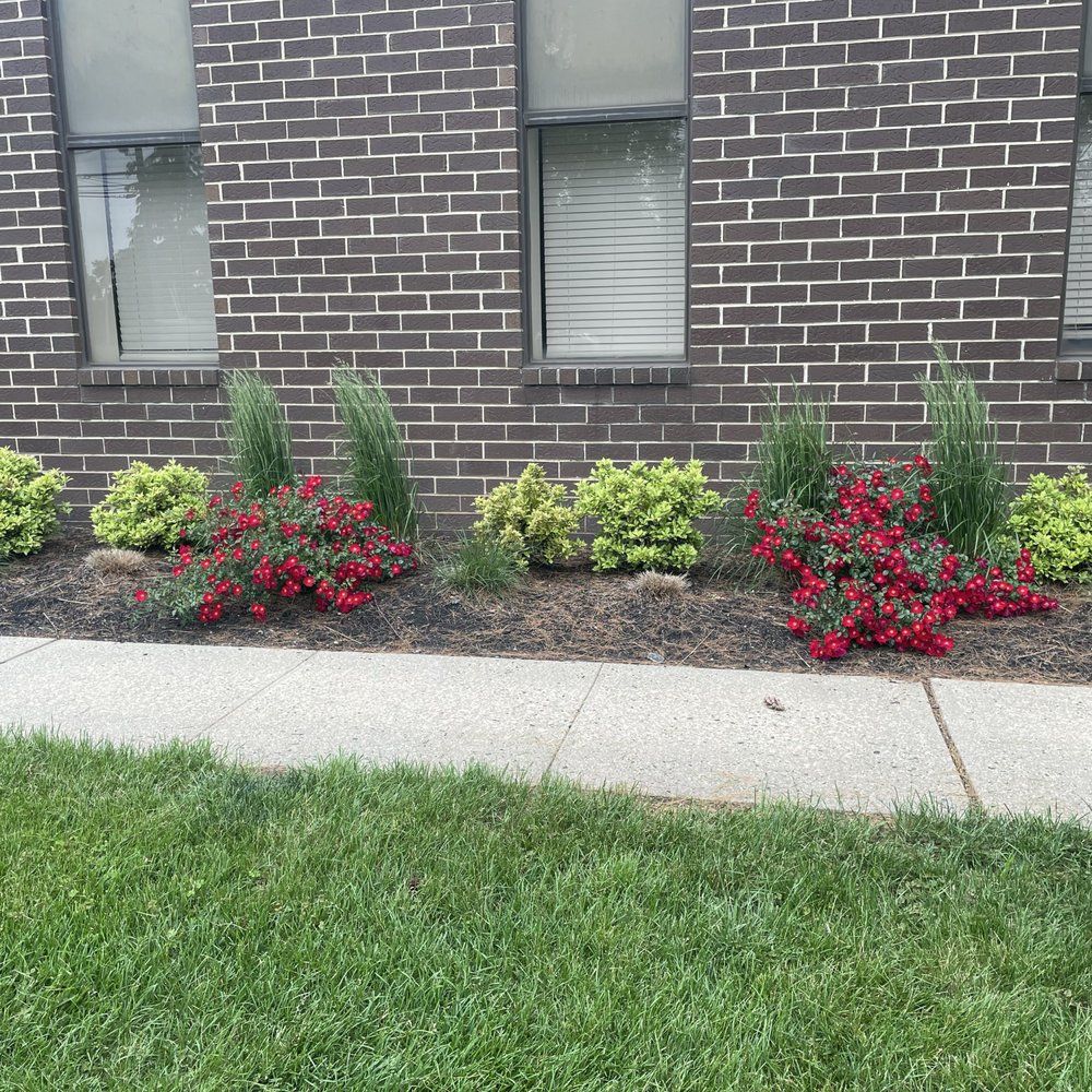 Soloman Lawn Care gallery photo