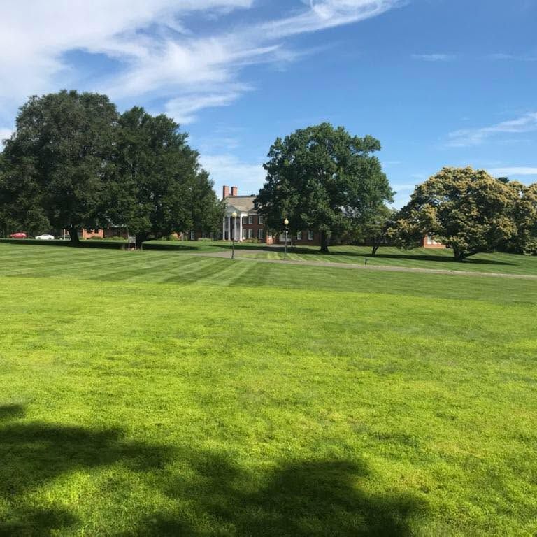Soloman Lawn Care gallery photo
