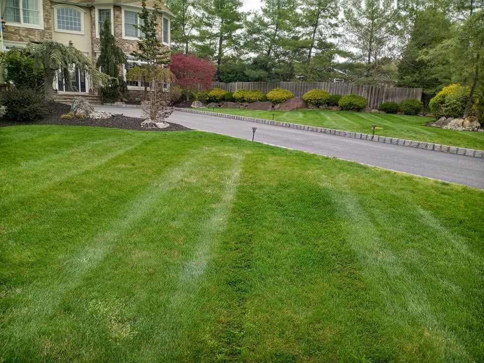 About Soloman Lawn Care