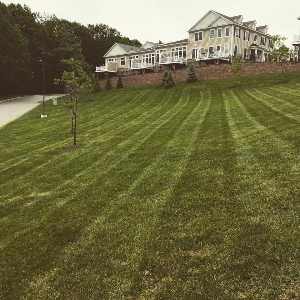 Lawn Care